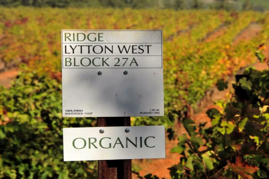 Organic certification sign at Lytton.