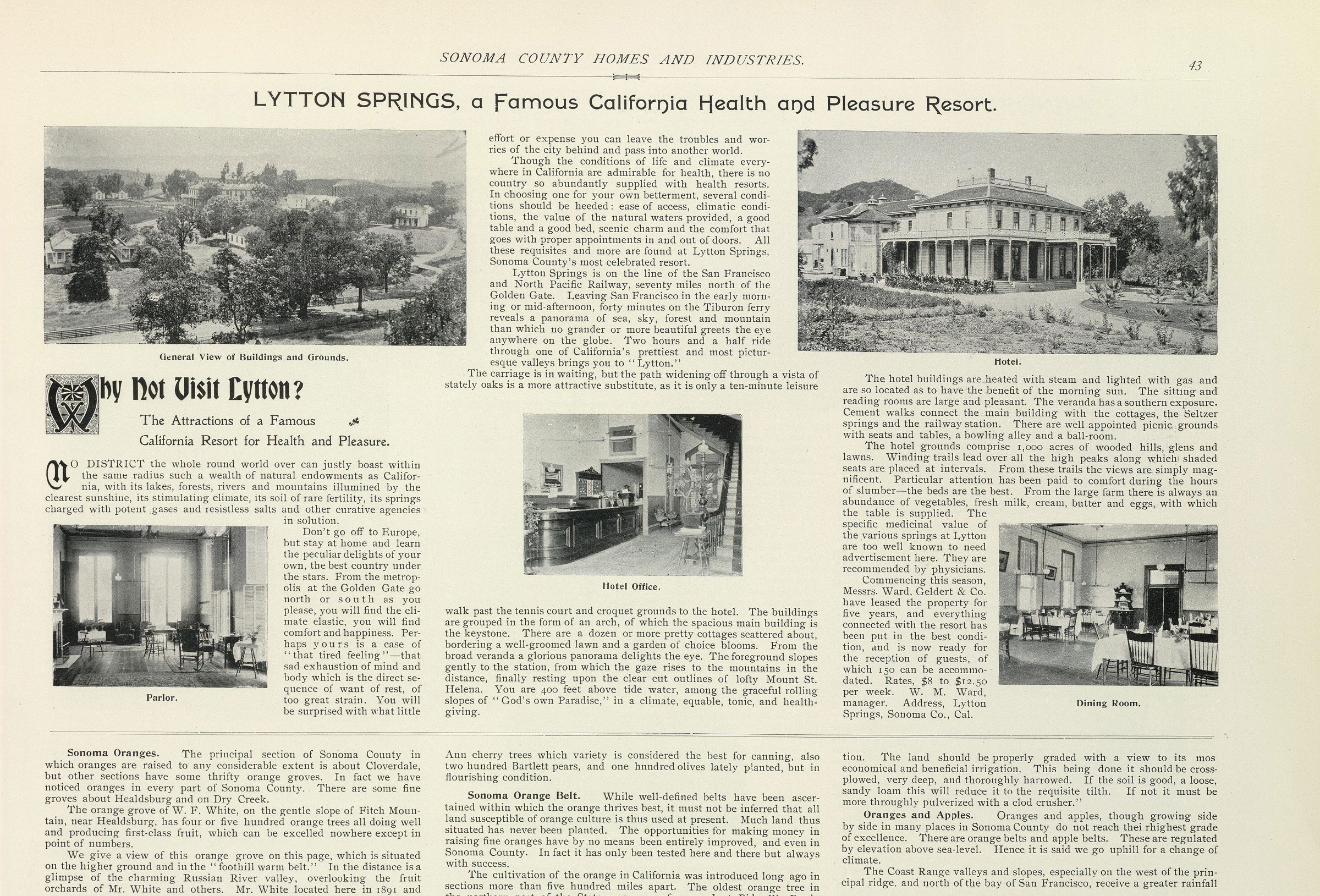 Historic Lytton Springs Ridge Vineyards