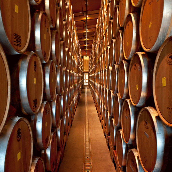 lytton-springs-barrel-room