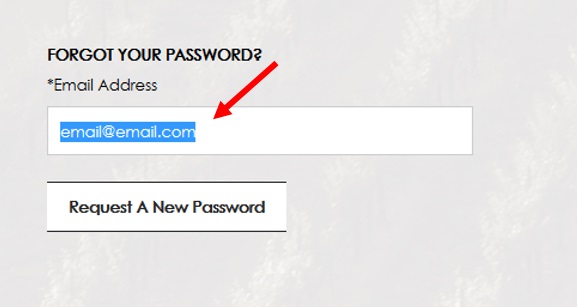 passwordbox service