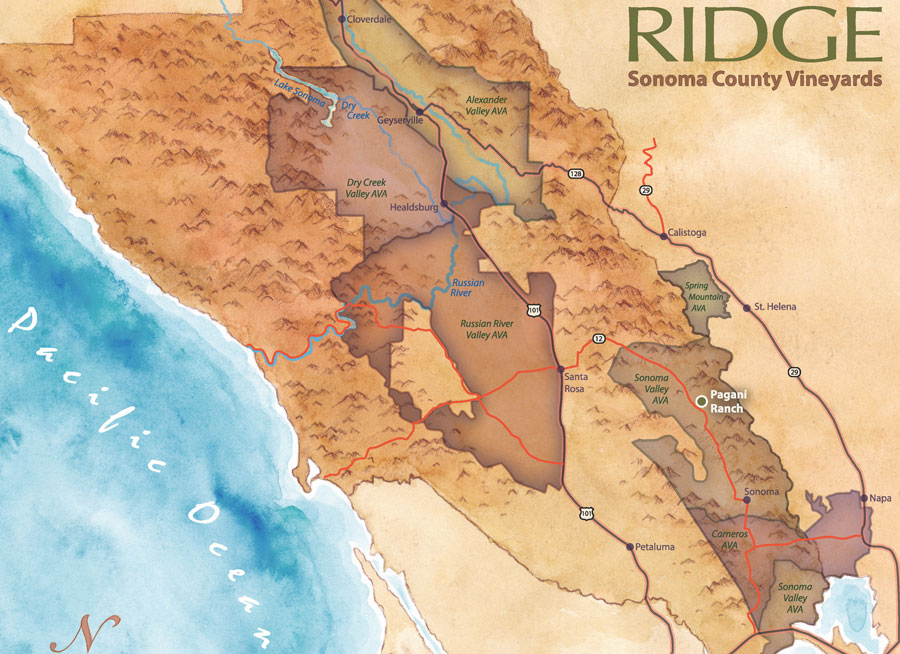 Pagani Ranch Vineyard Map
