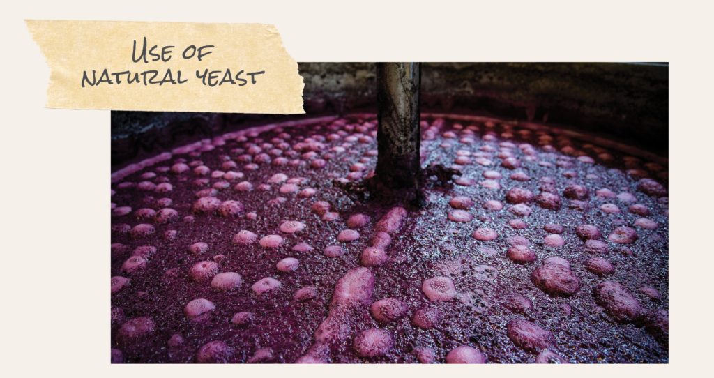 using natural yeast in winemaking