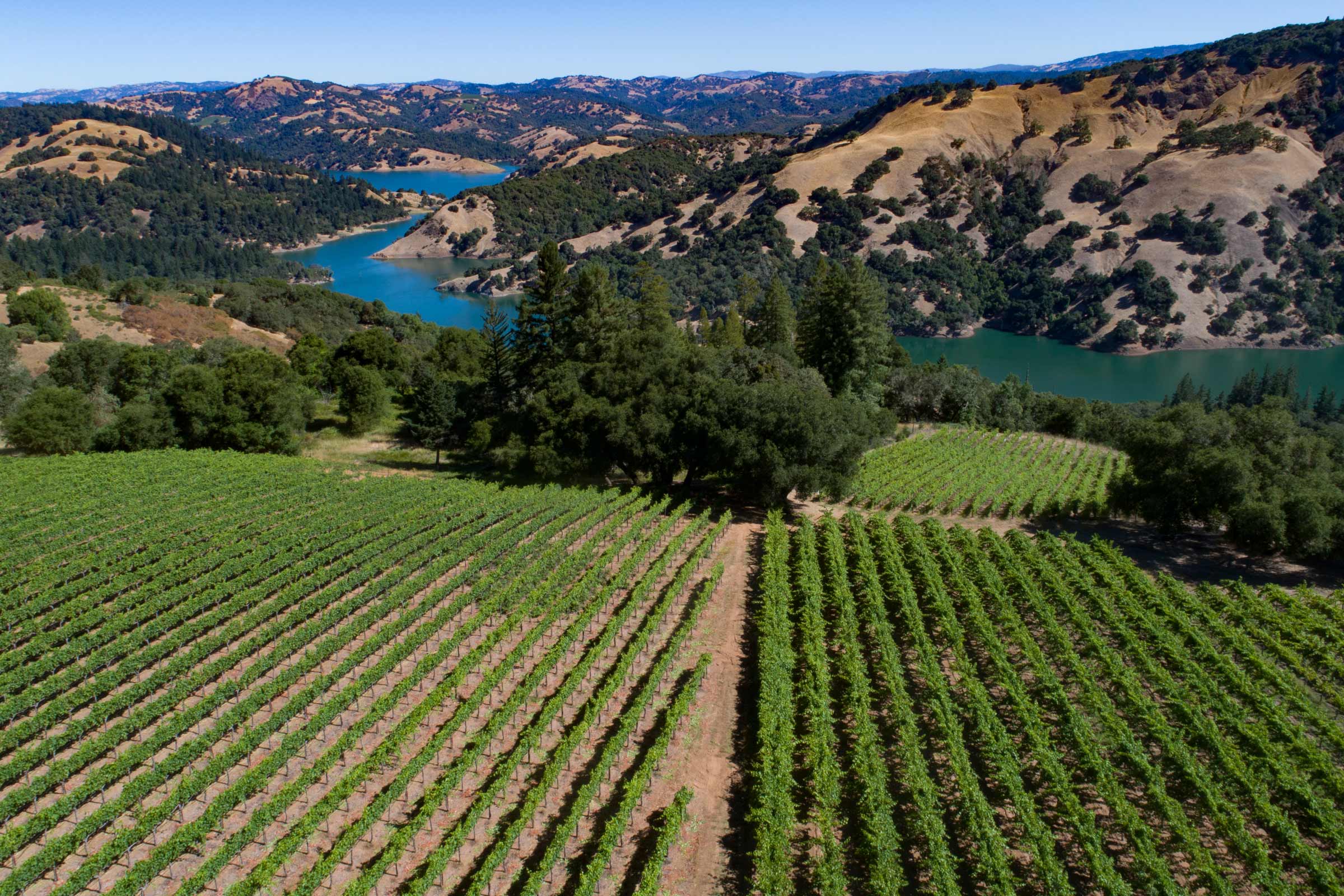 boticelli vineyard, rockpile ava