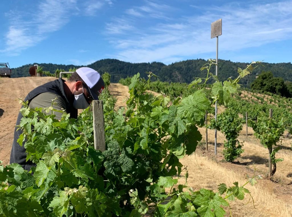 Kyle Theriot, Director of Vineyard Operations at Monte Bello.