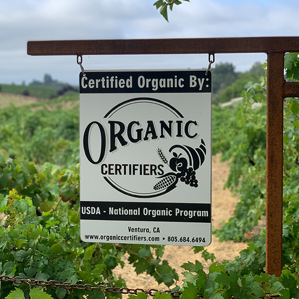 Organic sign at Lytton Springs.