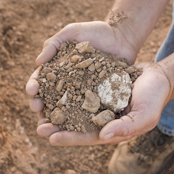 sustainable farming