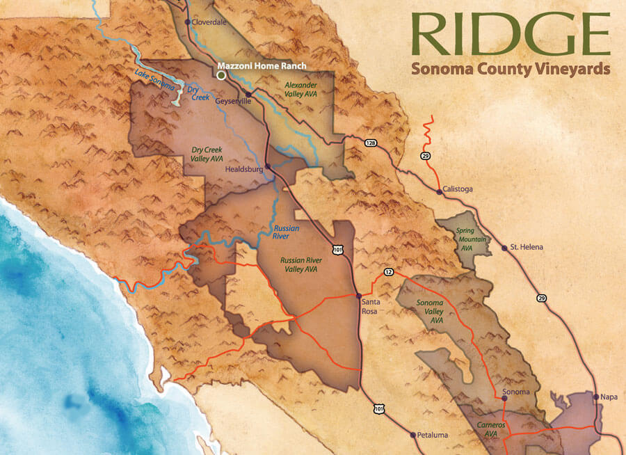 Mazzoni Home Ranch Vineyard Map