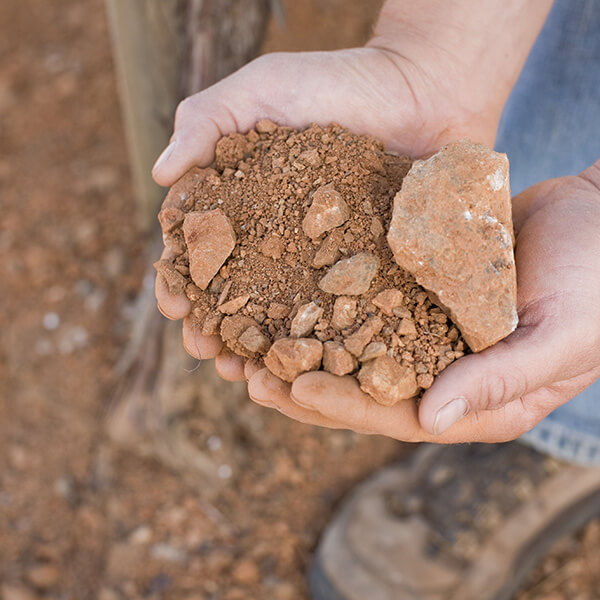 Hands Holding Soil in the Vineyard