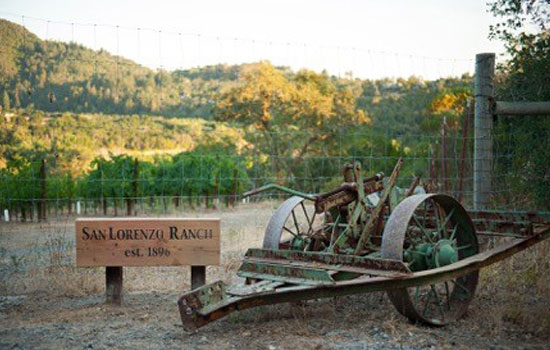 San Lorenzo Vineyard