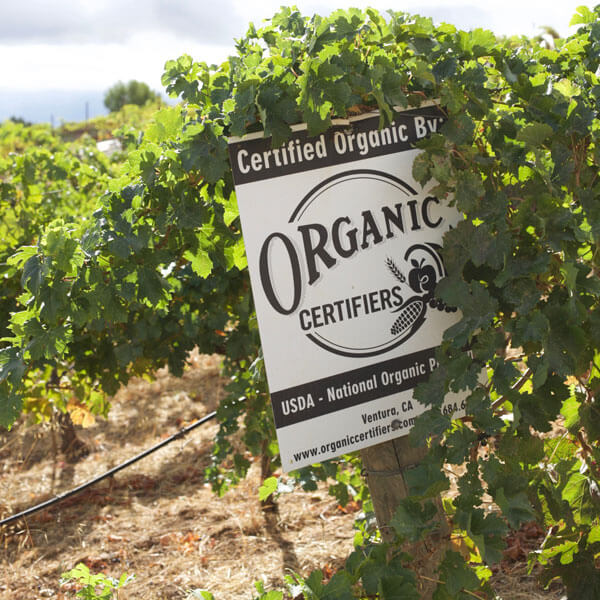 Organic sign at Monte Bello Vineyard