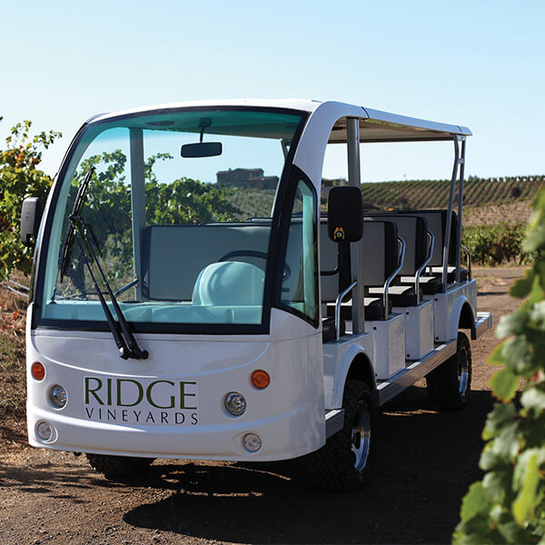 Lytton Spring Vineyard Tour