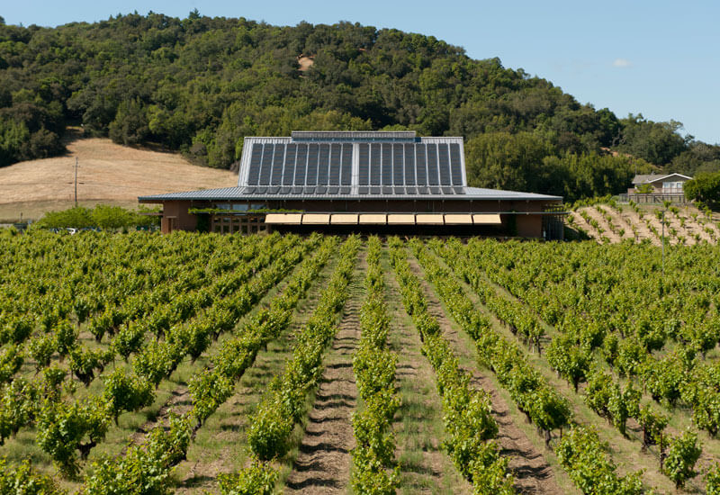 Ridge Lytton Springs Winery