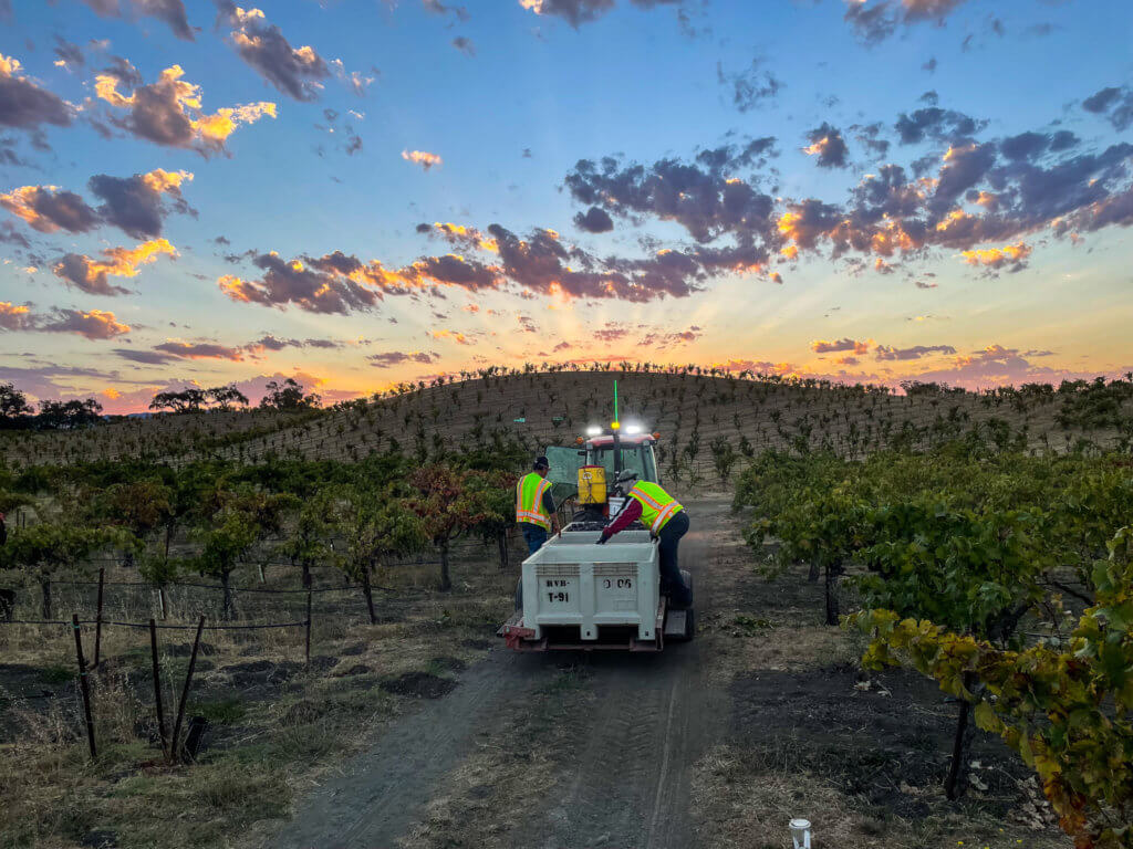 Crews harvest in the early morning hours to avoid the heat