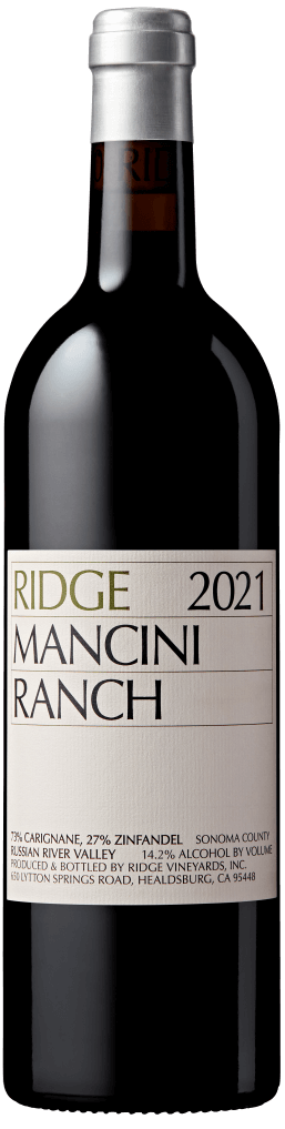 2021 Mancini Ranch