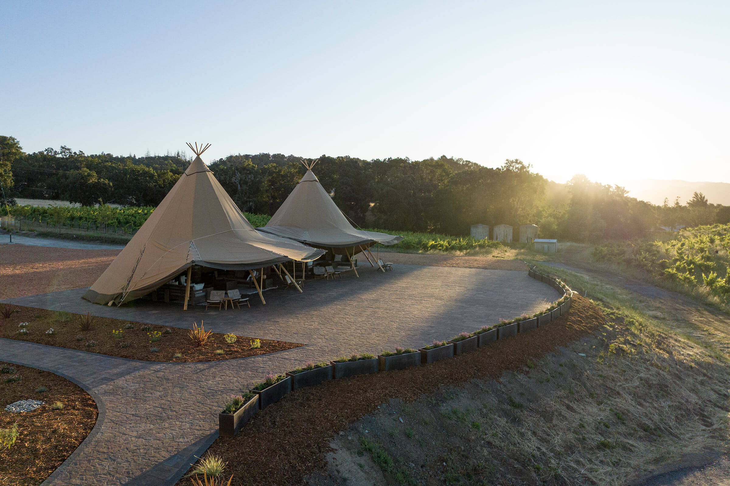 The Vineyard Vista Lounge at Ridge Lytton Springs
